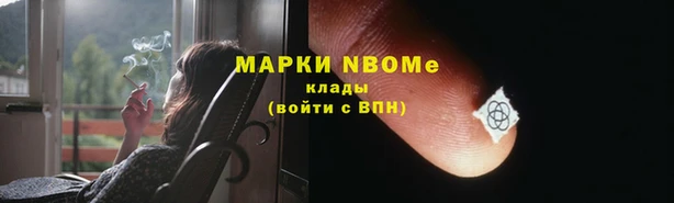 стафф Алзамай
