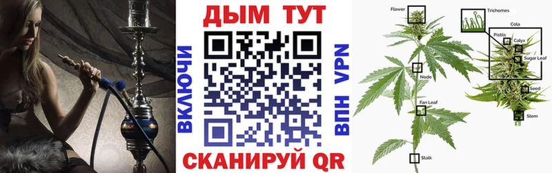 ссылка на мегу маркетплейс  купить наркотики сайты  Судак  Бошки Шишки Ganja 